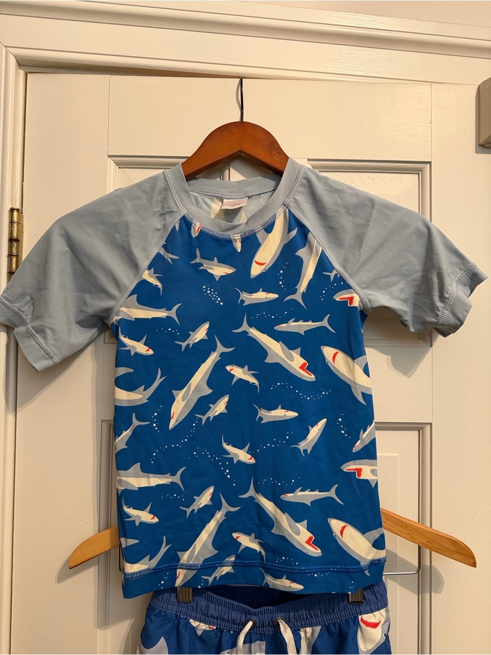 Hanna Andersson Blue Shark Print Rashguard